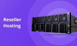 reseller hosting twc