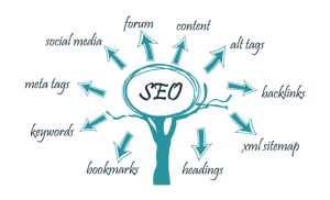 SEO management