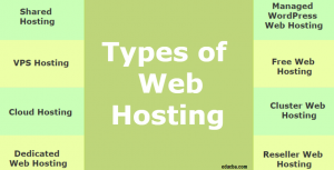 Web hosting